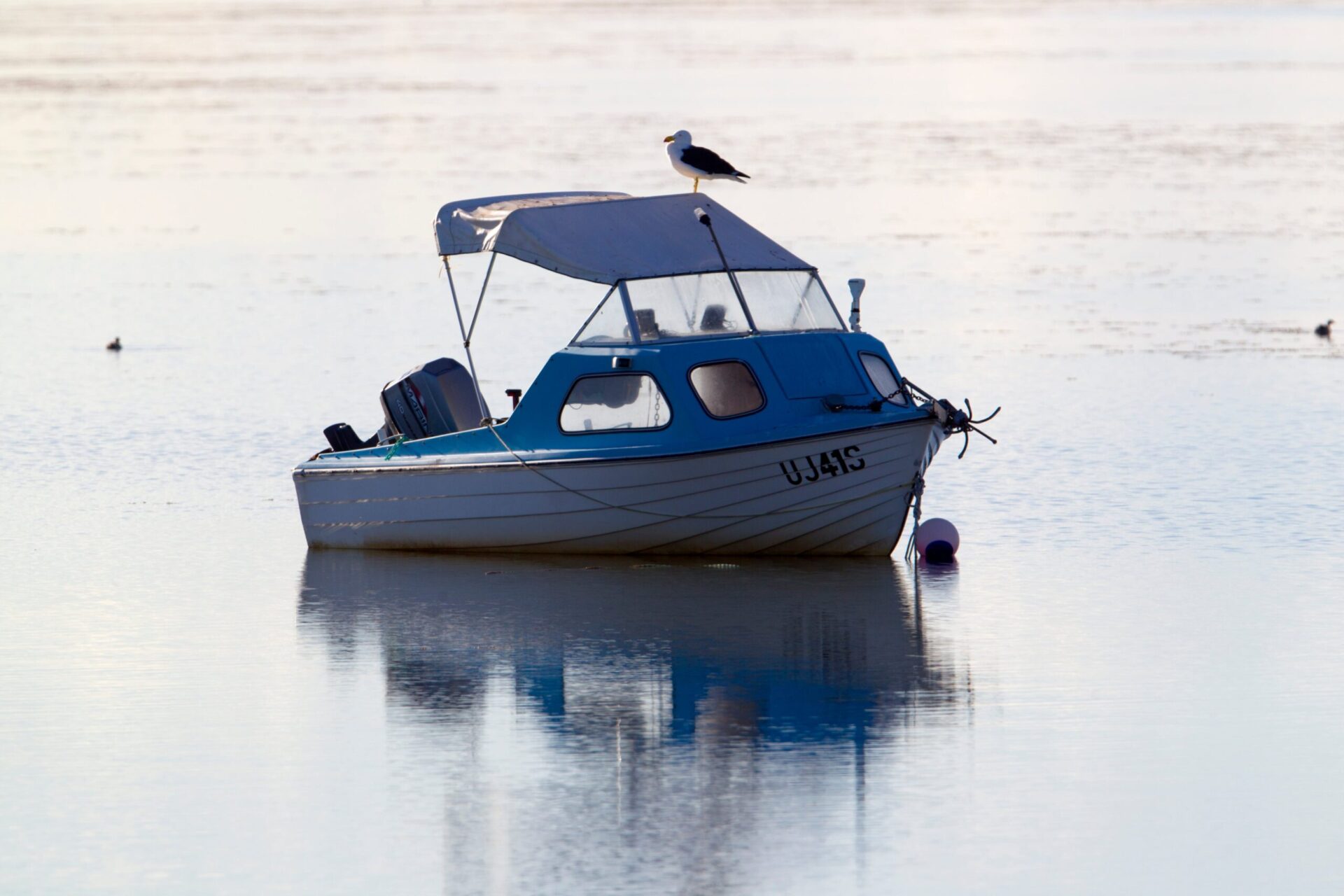boat_image_two