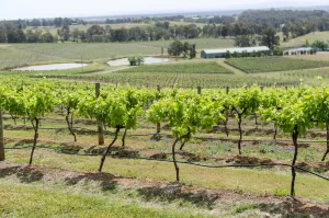 Commercial Finance Brokers Hunter Valley